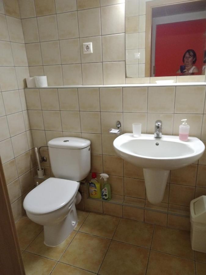 דירות זלקרוס Viola Wellness Apartman מראה חיצוני תמונה