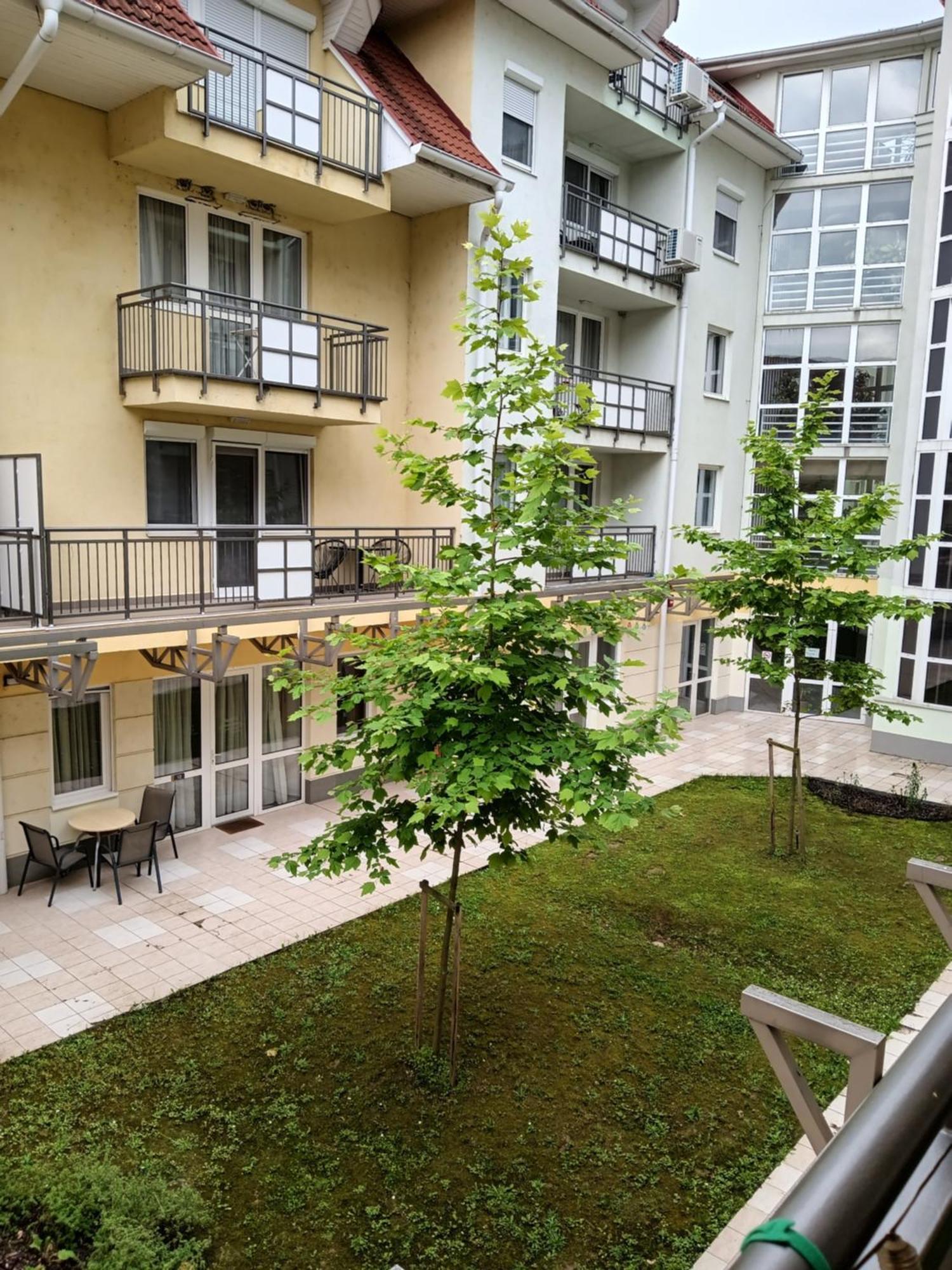 דירות זלקרוס Viola Wellness Apartman מראה חיצוני תמונה